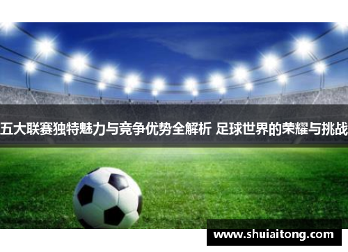 五大联赛独特魅力与竞争优势全解析 足球世界的荣耀与挑战