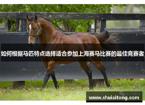 如何根据马匹特点选择适合参加上海赛马比赛的最佳竞赛者